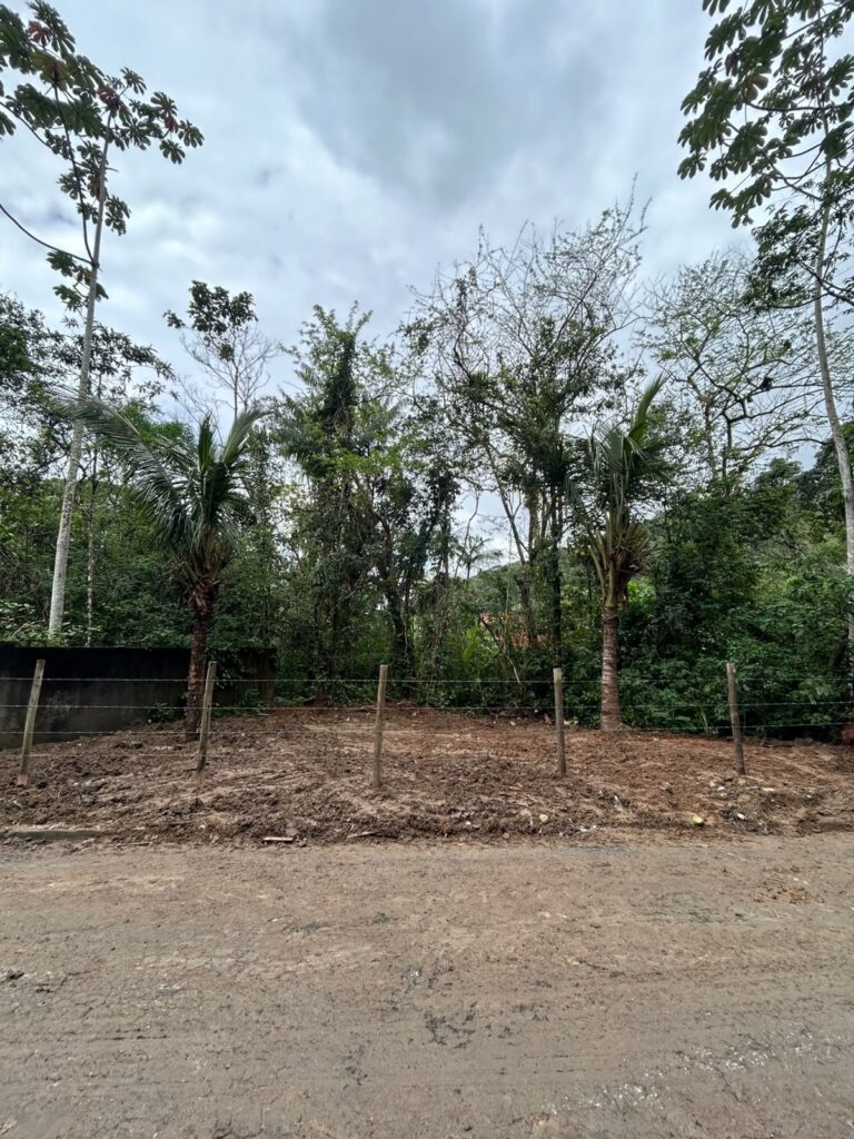 Prefeitura de Caraguatatuba recupera área degradada por descarte irregular e transforma espaço no Massaguaçu