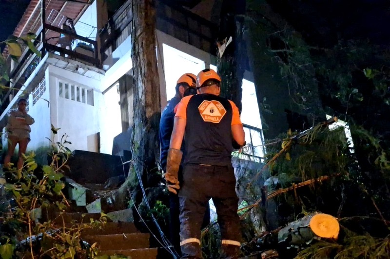 Temporal derruba árvores, danifica rede elétrica e afeta abastecimento de água em Ilhabela; Defesa Civil registra cinco ocorrências