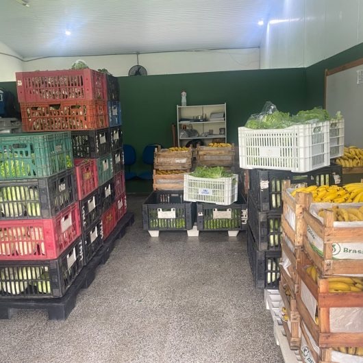 Prefeitura de Caraguatatuba distribui quase 2 toneladas de alimentos e beneficia 17 instituições sociais